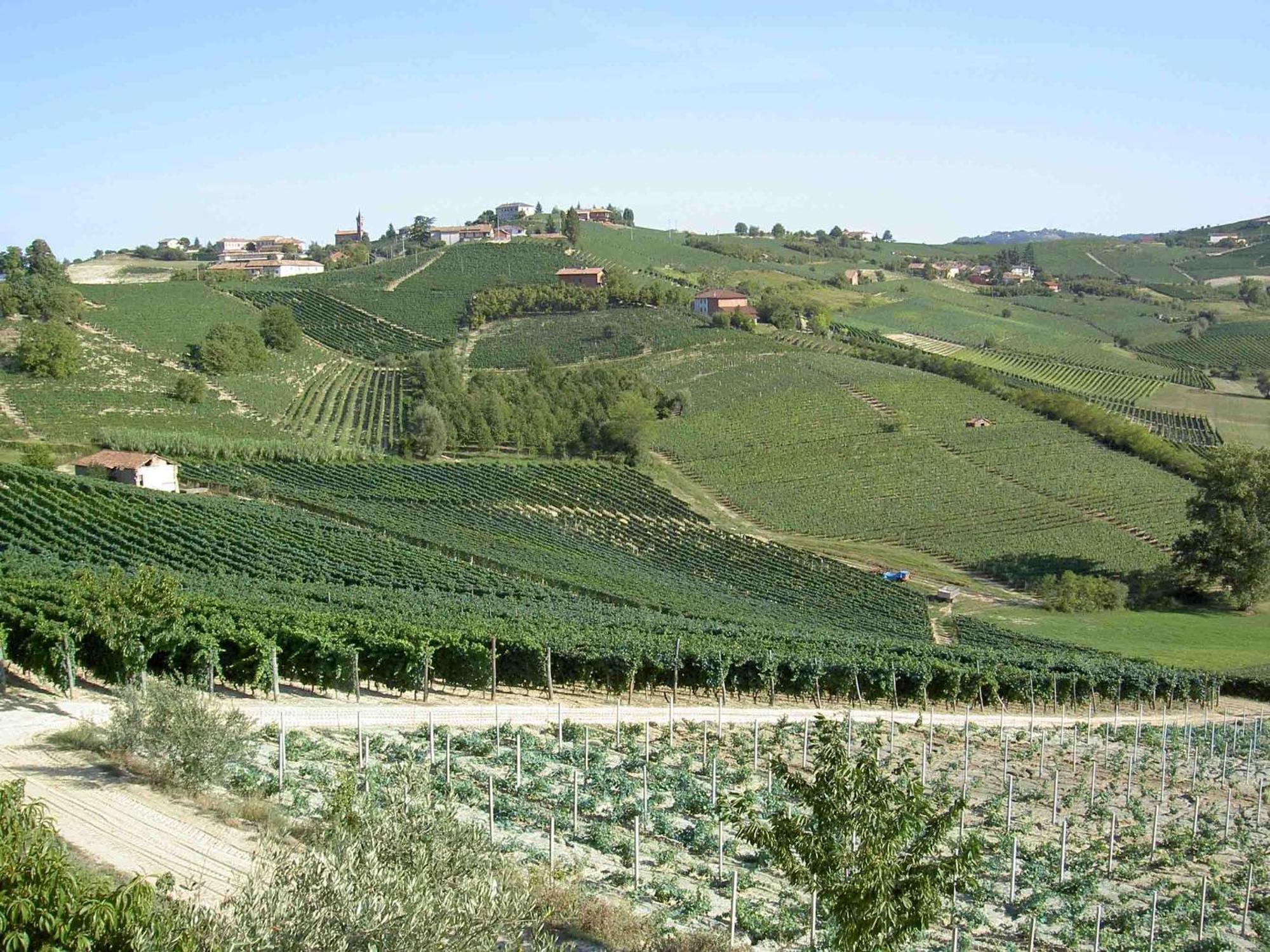 Agriturismo Vecchio Torchio Villa Canelli Eksteriør bilde